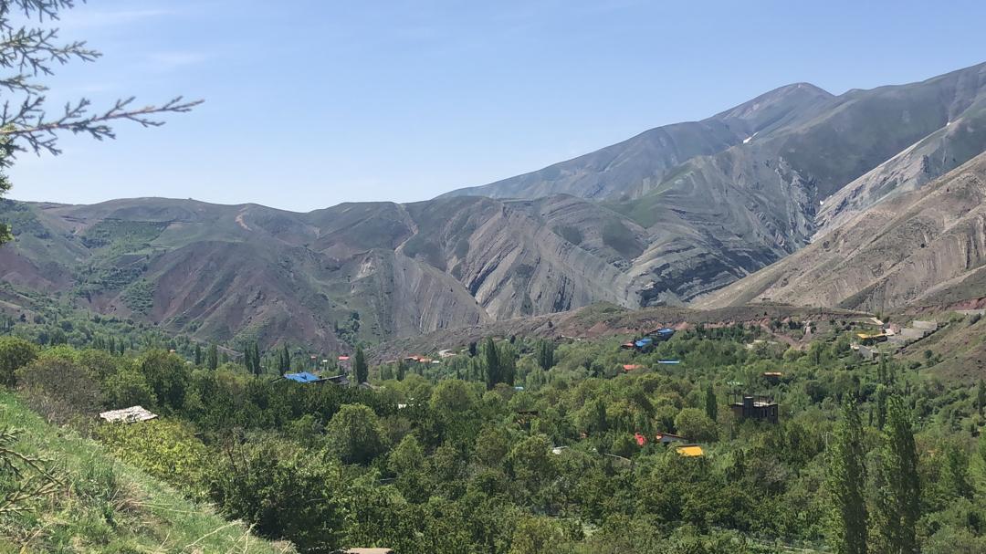 Amame cherry orchard